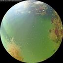 ./images/calvert/underwater/20260826/underwater20260826_122501M.jpg