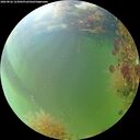 ./images/calvert/underwater/20260826/underwater20260826_123001M.jpg