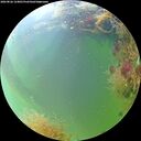 ./images/calvert/underwater/20260826/underwater20260826_124001M.jpg