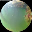 ./images/calvert/underwater/20260826/underwater20260826_124502M.jpg