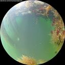 ./images/calvert/underwater/20260826/underwater20260826_125501M.jpg