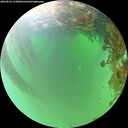 ./images/calvert/underwater/20260826/underwater20260826_133001M.jpg