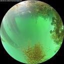 ./images/calvert/underwater/20260826/underwater20260826_134001M.jpg