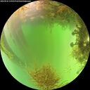 ./images/calvert/underwater/20260826/underwater20260826_134501M.jpg