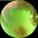 ./images/calvert/underwater/20260826/underwater20260826_135001M.jpg