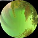 ./images/calvert/underwater/20260826/underwater20260826_135501M.jpg