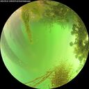 ./images/calvert/underwater/20260826/underwater20260826_140001M.jpg