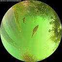 ./images/calvert/underwater/20260826/underwater20260826_140501M.jpg