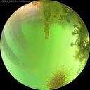 ./images/calvert/underwater/20260826/underwater20260826_141001M.jpg