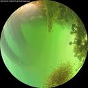 ./images/calvert/underwater/20260826/underwater20260826_142001M.jpg