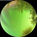 ./images/calvert/underwater/20260826/underwater20260826_142502M.jpg