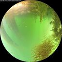 ./images/calvert/underwater/20260826/underwater20260826_143002M.jpg
