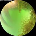 ./images/calvert/underwater/20260826/underwater20260826_143501M.jpg