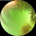 ./images/calvert/underwater/20260826/underwater20260826_144001M.jpg