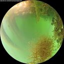 ./images/calvert/underwater/20260826/underwater20260826_144501M.jpg