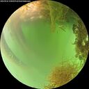 ./images/calvert/underwater/20260826/underwater20260826_150001M.jpg
