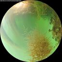./images/calvert/underwater/20260826/underwater20260826_151501M.jpg