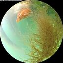 ./images/calvert/underwater/20260826/underwater20260826_154501M.jpg