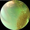 ./images/calvert/underwater/20260826/underwater20260826_160002M.jpg