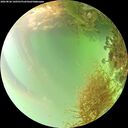 ./images/calvert/underwater/20260826/underwater20260826_160501M.jpg