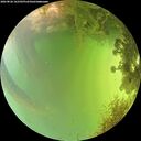 ./images/calvert/underwater/20260826/underwater20260826_162502M.jpg
