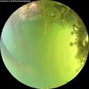 ./images/calvert/underwater/20260826/underwater20260826_163501M.jpg