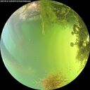 ./images/calvert/underwater/20260826/underwater20260826_164002M.jpg