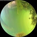 ./images/calvert/underwater/20260826/underwater20260826_164501M.jpg