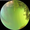 ./images/calvert/underwater/20260826/underwater20260826_165001M.jpg