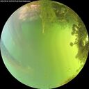 ./images/calvert/underwater/20260826/underwater20260826_165501M.jpg