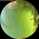 ./images/calvert/underwater/20260826/underwater20260826_170002M.jpg