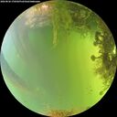 ./images/calvert/underwater/20260826/underwater20260826_170501M.jpg