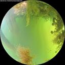 ./images/calvert/underwater/20260826/underwater20260826_171001M.jpg