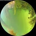 ./images/calvert/underwater/20260826/underwater20260826_171501M.jpg