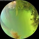./images/calvert/underwater/20260826/underwater20260826_172001M.jpg