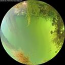 ./images/calvert/underwater/20260826/underwater20260826_172501M.jpg