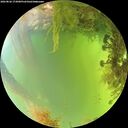./images/calvert/underwater/20260826/underwater20260826_173001M.jpg