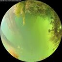 ./images/calvert/underwater/20260826/underwater20260826_173502M.jpg