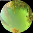 ./images/calvert/underwater/20260826/underwater20260826_174002M.jpg