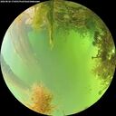 ./images/calvert/underwater/20260826/underwater20260826_174501M.jpg