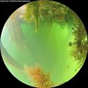 ./images/calvert/underwater/20260826/underwater20260826_175001M.jpg