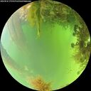 ./images/calvert/underwater/20260826/underwater20260826_175501M.jpg