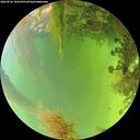 ./images/calvert/underwater/20260826/underwater20260826_180501M.jpg