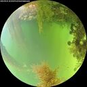 ./images/calvert/underwater/20260826/underwater20260826_181002M.jpg