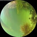 ./images/calvert/underwater/20260826/underwater20260826_181501M.jpg