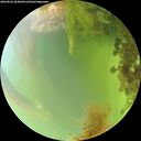 ./images/calvert/underwater/20260826/underwater20260826_183001M.jpg
