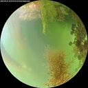 ./images/calvert/underwater/20260826/underwater20260826_183501M.jpg