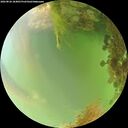 ./images/calvert/underwater/20260826/underwater20260826_184001M.jpg