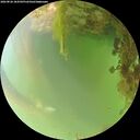./images/calvert/underwater/20260826/underwater20260826_184501M.jpg