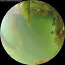 ./images/calvert/underwater/20260826/underwater20260826_185001M.jpg